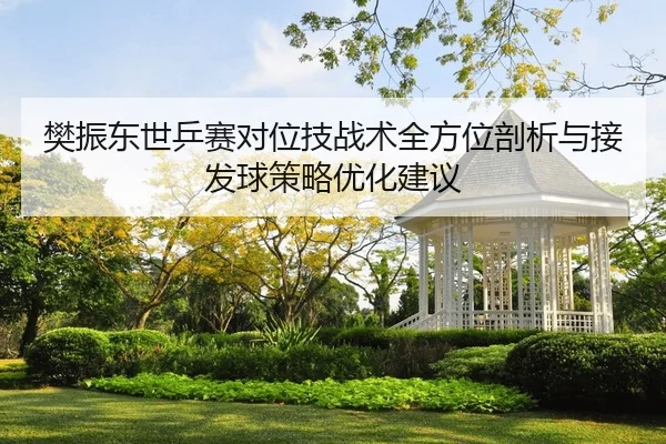 樊振东世乒赛对位技战术全方位剖析与接发球策略优化建议